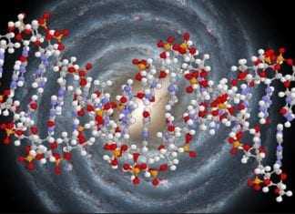 L’Ascension Cellulaire est à Nos Portes